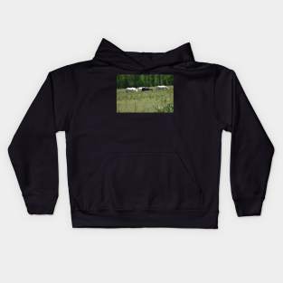 Wild Horse Herd Kids Hoodie